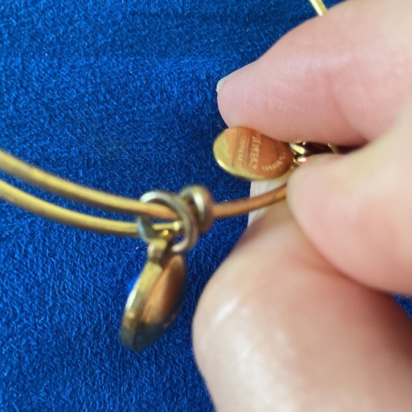 Alex and Ani Charm Bangle - Picture 6 of 6